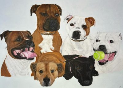 Pet portrait Staffordshire Bull Terrier Acrylic on stretched canvas by Art by Kirsti