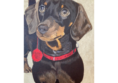 Brown Dachshund acyrlic pet portrait by Art by Kirsti