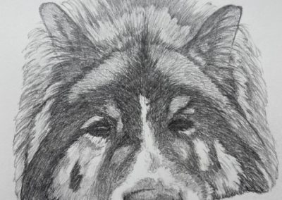 Sleepy dog pencil drawing pet portrait by Art by Kirsti