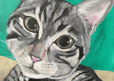 Wide eyed cat pet portrait acyrlic brush and palette knife by Art by Kirsti