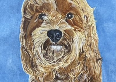 Cockapoo acyrlic pet portrait by Art by Kirsti