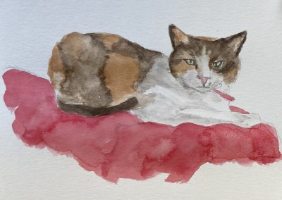 Watercolour cat sketch quick by Art by Kirsti