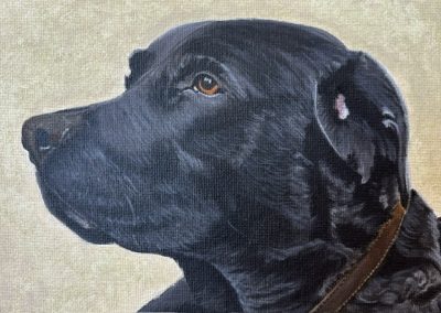 Black Labrador acrylic pet portrait small by Art by Kirsti