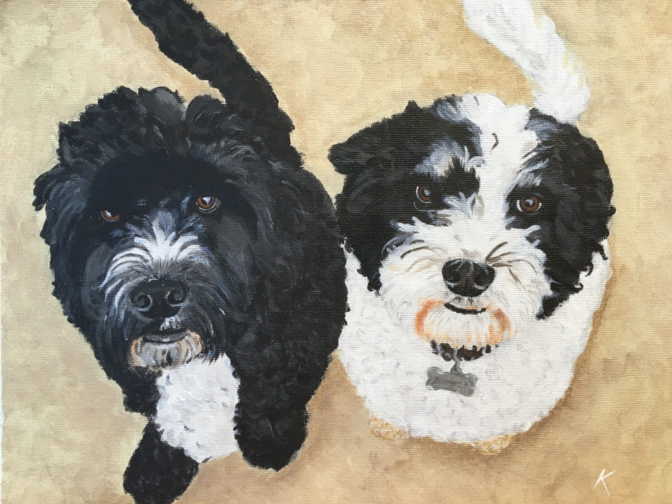 Pet Portrait cockapoo dogs acrylic Art by Kirsti