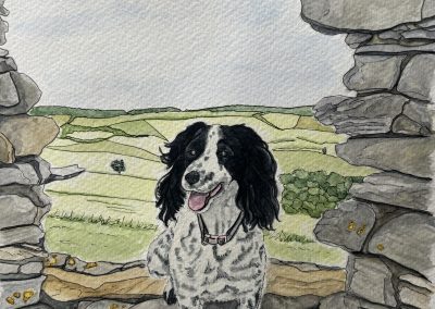 Pet portrait, watercolour and pen by Art by Kirsti