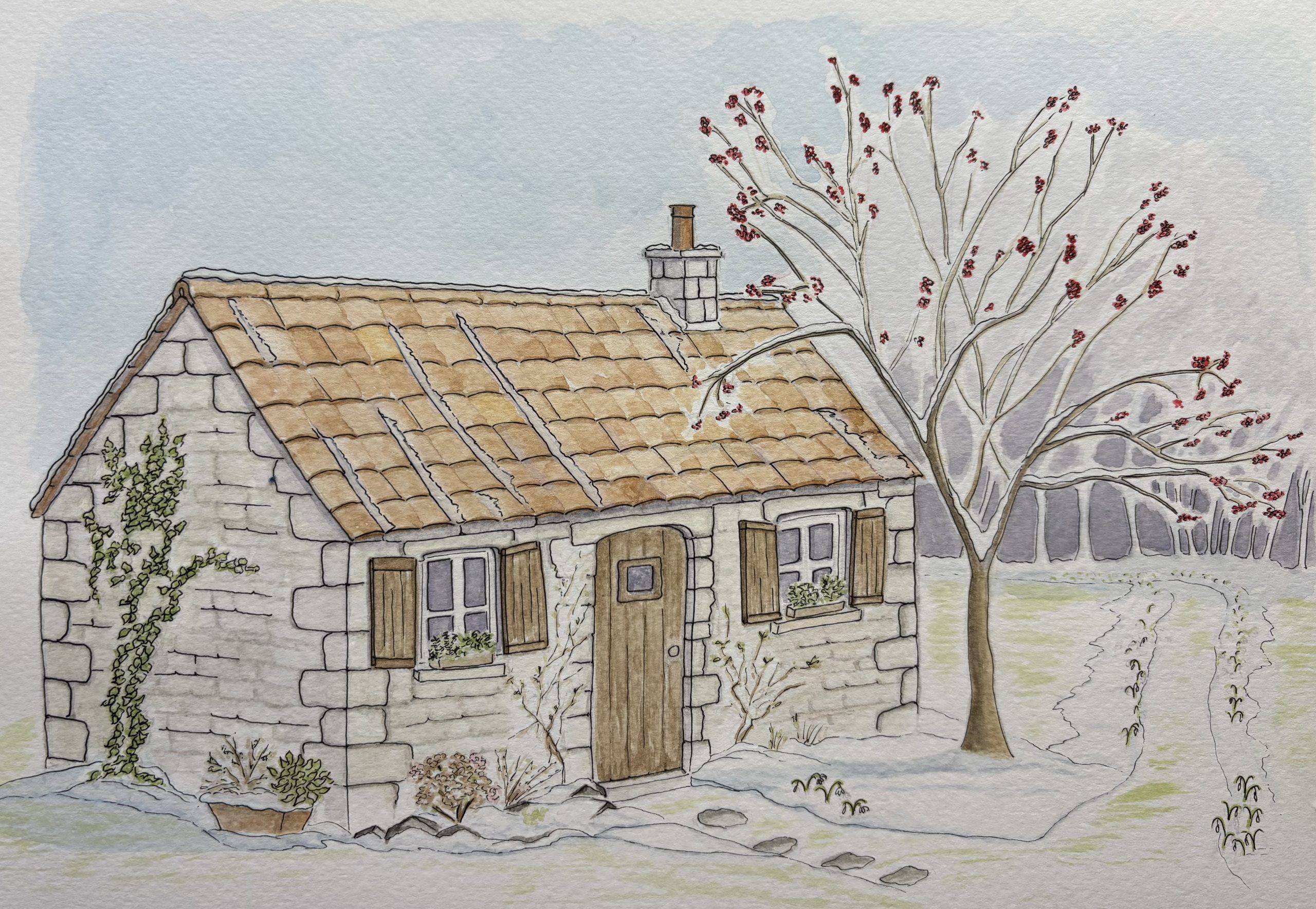 Emmeline's Cottage watercolour and pen illustration for central feature on cover of Lost Love in Spring written by Rose English illustration by Art by Kirsti
