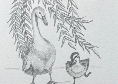 Calvin and Bart pencil drawing book illustration, Willow Tree Lake written by Rose English Illustrated by Art by Kirsti Kirsti Vass