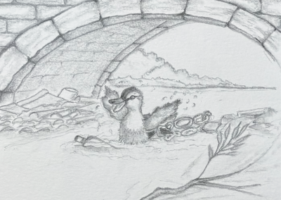 Bartholomew Drake lost under a bridge, stuck in rubbish pencil drawing book illustration, Willow Tree Lake written by Rose English Illustrated by Art by Kirsti Kirsti Vass