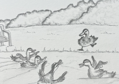Mean ducklings pointing and laughing at Bartholomew Drake pencil drawing book illustration, Willow Tree Lake written by Rose English Illustrated by Art by Kirsti Kirsti Vass
