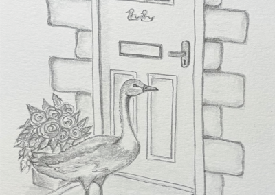 Calvin the swan knocks on Scott's door for help pencil drawing book illustration, Willow Tree Lake written by Rose English Illustrated by Art by Kirsti Kirsti Vass