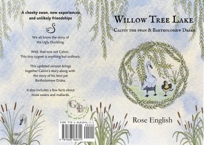 Cover art for Willow Tree Lake written by Rose English Illustrated by Kirsti Vass Art by Kirsti